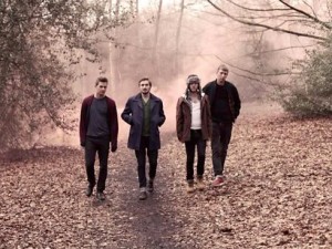 Wild Beasts